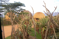 0302-Reis Zuid-Afrika2007